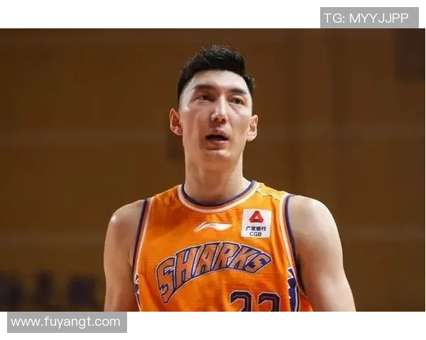 陶汉林：从篮球新星到球队核心的成长之路与未来展望