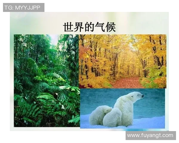 飓风与拉普拉塔体的较量：探讨两者在气候与生态中的影响与关系